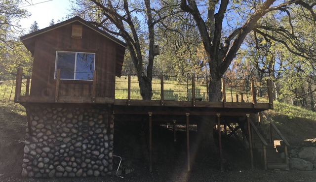 Klamath River Ca Treehouse