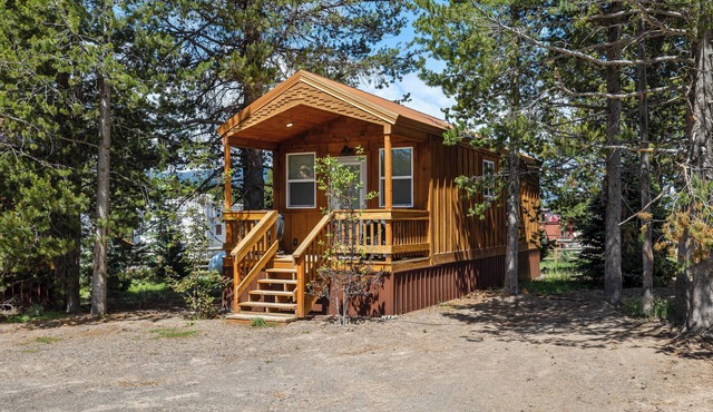 Knotty Bear tiny home 20 miles to West Yellowstone. WiFi - BBQ - fully equipped kitchen