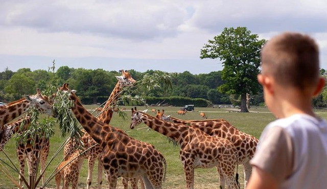 Knuthenborg Safaripark