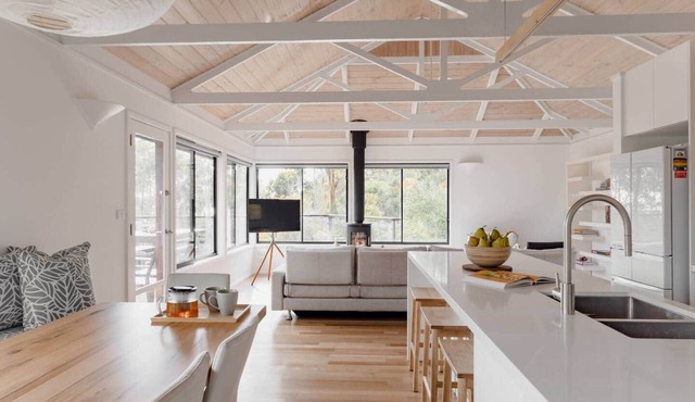 Koala View in Kennett River