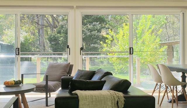 Koalas Songs - Watch Koalas and Roos right from your backyard