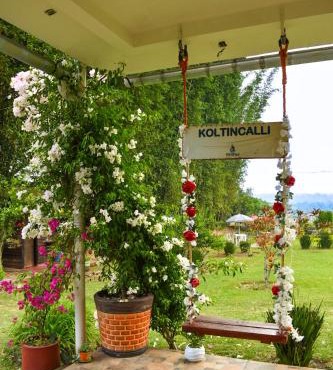 Koltincalli