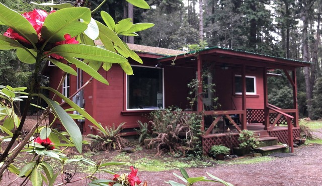 Kona Cabin in the Redwoods
