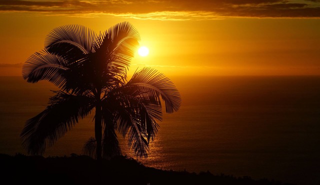 Kona Coffee Farm Ocean-View Home - Sunset Lanai