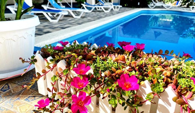 Kontinent na Golyboy Buhte