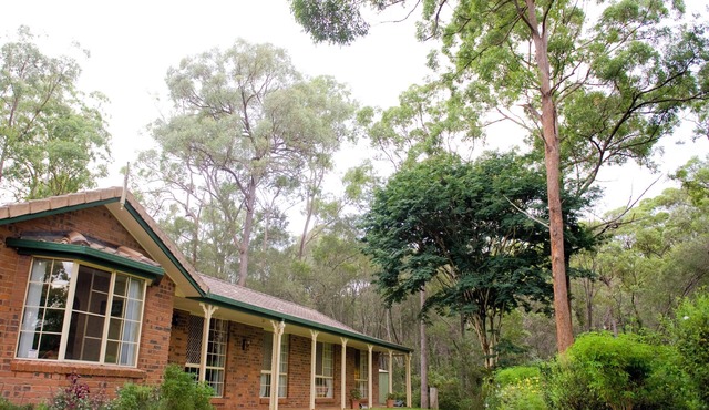 Kookaburra Nest Cashmere