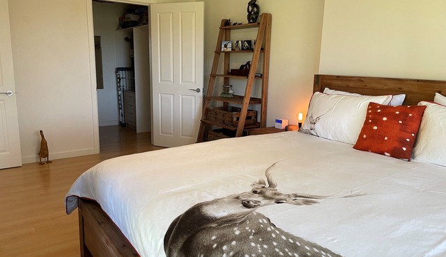 Kookaburra Retreat - Berowra Heights