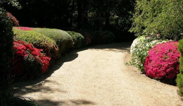Koonawarra | Mt Wilson | 24 acres of Established Heritage Botanical Gardens