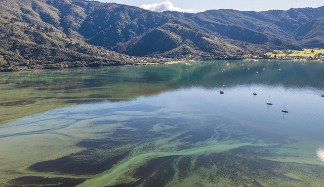 Koraha - Queen Charlotte Sound Holiday Home