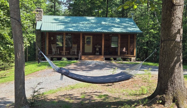 Kovi Bear Cabin near Shenandoah NP, wineries & restauraunts with Wi-Fi