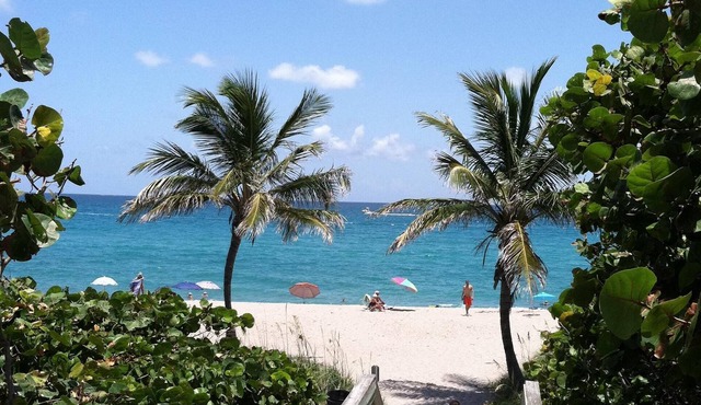 KOZY COTTAGE - May openings, 2.7 m from beach, UVC clean,