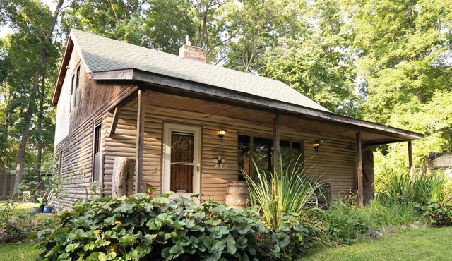 Kozy Kabin Retreat in Ann Arbor with Huge Yard to Unwind!