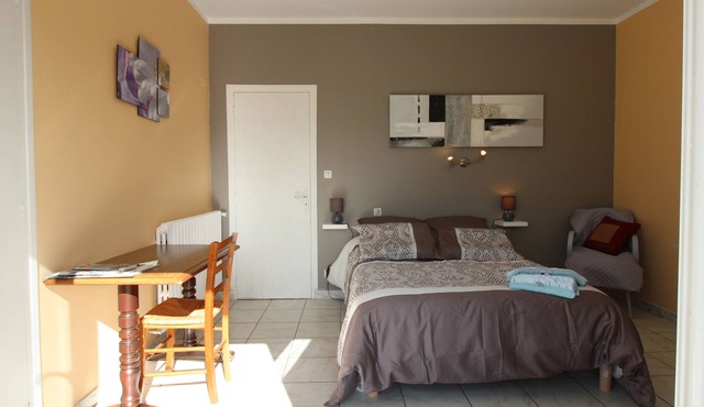 Krys Chambre vue sur les Pyrenees et le pis du Midi