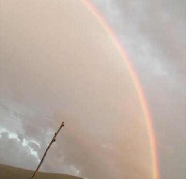 Kućica na osami