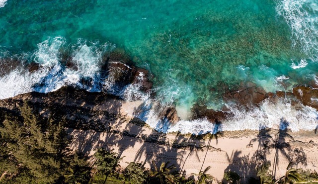 Ku'ilima Estates Collection by KBM - 2 Units (e113/e117)