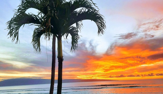 Kuleana 407 Oceanfront Special 240/night - Ground Level - 5 Star Reviews