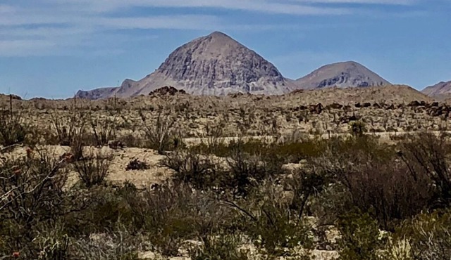 Kushala - Big Bend Wildhorse Mountain Home