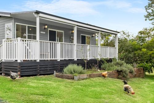 Kyogle Farmstay - Charming Country Cottage