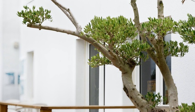 Kyriad Direct Saint Brieuc - Parc des Expositions