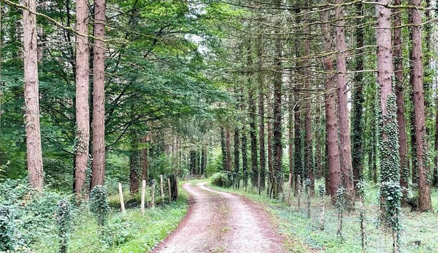 L'Échappée Boisée - Côté Forêt