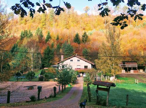 L'échappée verte - gîte equestre 5 pers