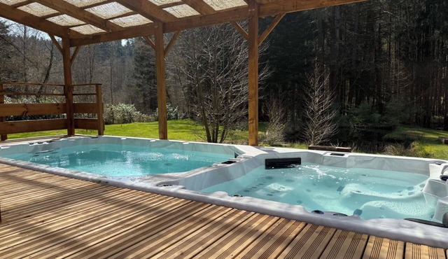 L'écrin de la forêt