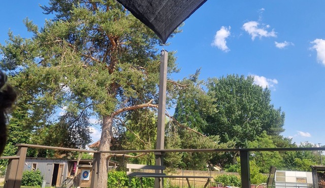 L'écolodge de Laéti