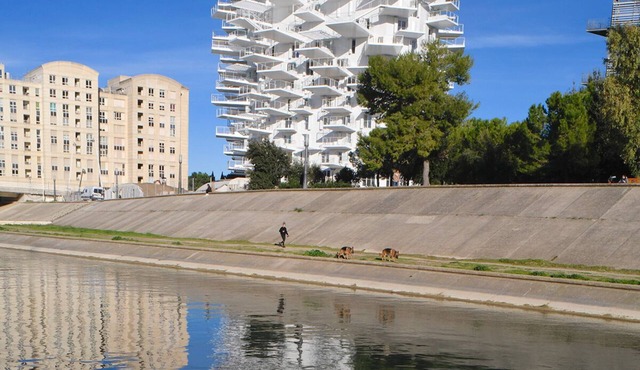 L'Abri Côtier du Pic Saint Loup