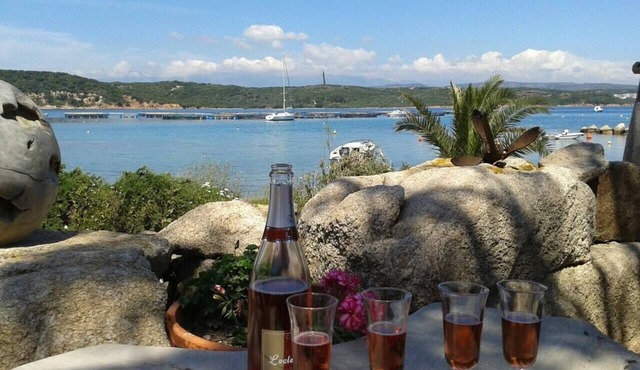 L'Abri des flots, L'Abri des flots