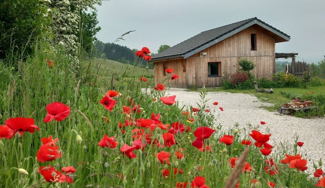 L'abrier éco Maison Bois Proche des Lacs et de la Nature, Calme Garanti !