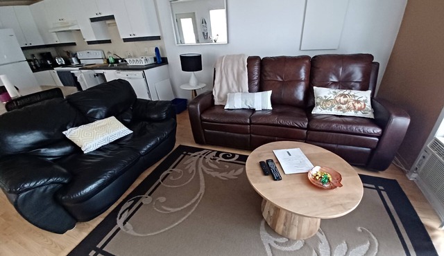 L'accueillant, whole apartment, a combination of town and country