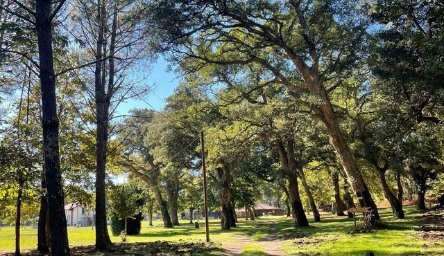 L'Airial de Léon: 2 houses, swimming pool, peace, nature, gym and games room