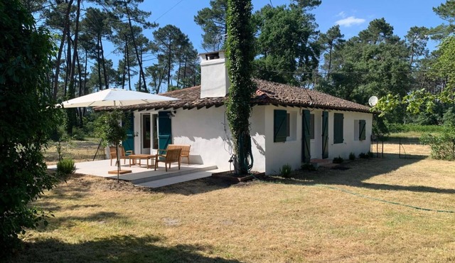 L'airial du Résinier