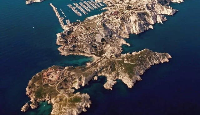 L'albatros