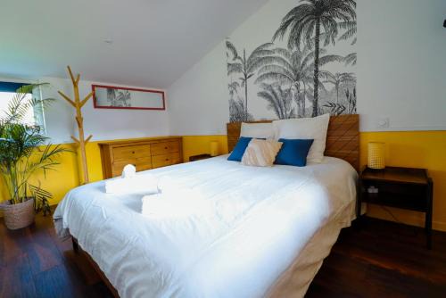 L'Amazone - T2 Cosy et Lumineux