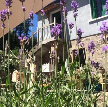 L Ancien Four à Pain