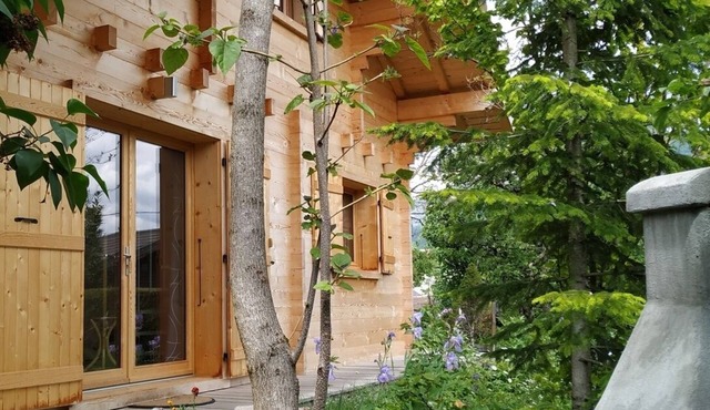 L'ANCOLIE Small, comfortable chalet at the foot of the mountains