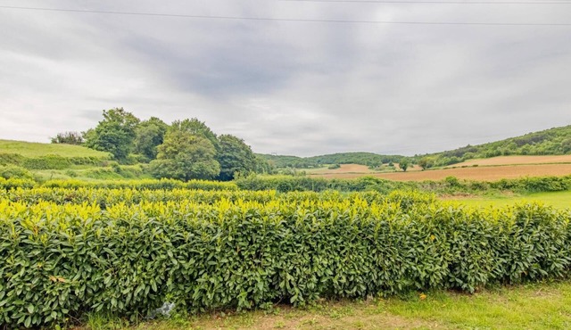 l'Annexe d'Anna - ROYER