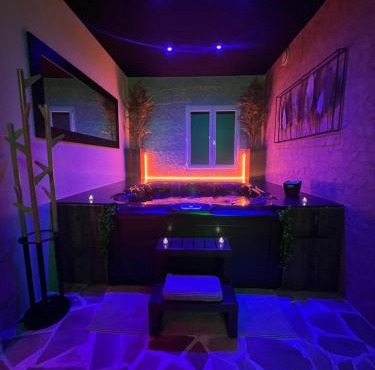 L'appar-T loft avec Spa privatif et jardin