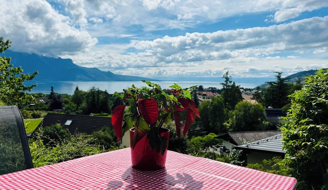 L'Appart Riviera panoramic view