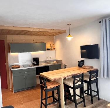 l'appartement Plainpalais