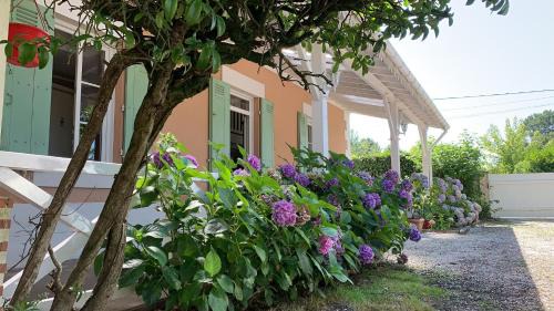 L arbousier-Bassin d'Arcachon