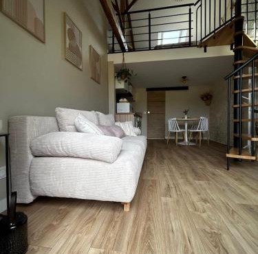 L'arbre de soie Futuroscope Albizia