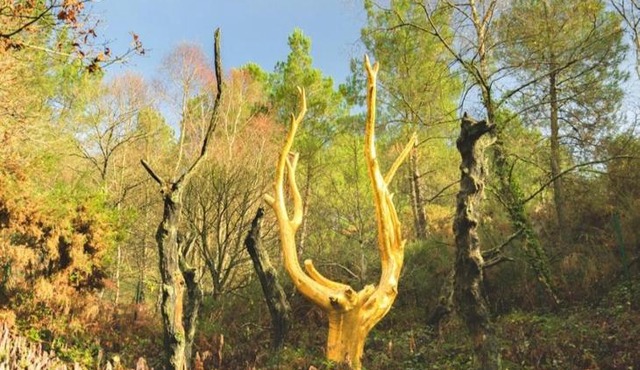 L'arbre dort studio indépendant