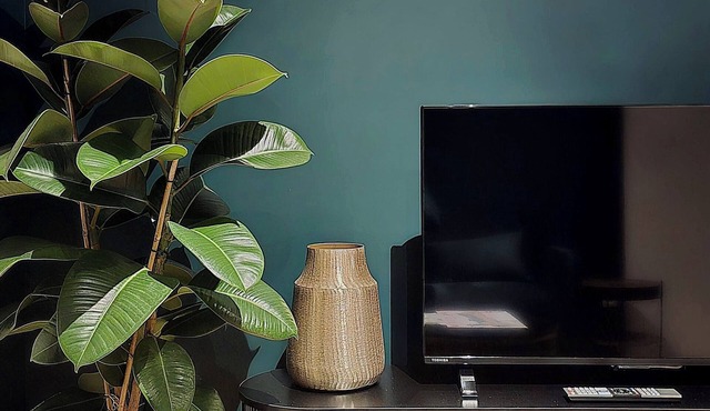 L'Atelier de L'Émeraude/The Emerald Workshop