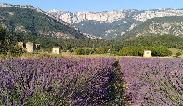L'Eco-logis du Clos des Tilleuls
