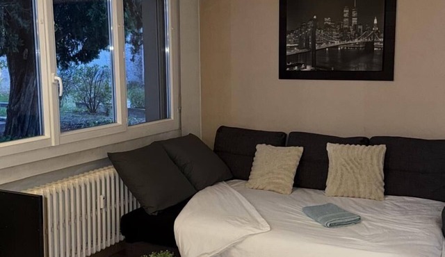 L'Écrin de Cusset - Comfort & Serenity in the heart of Villeurbanne