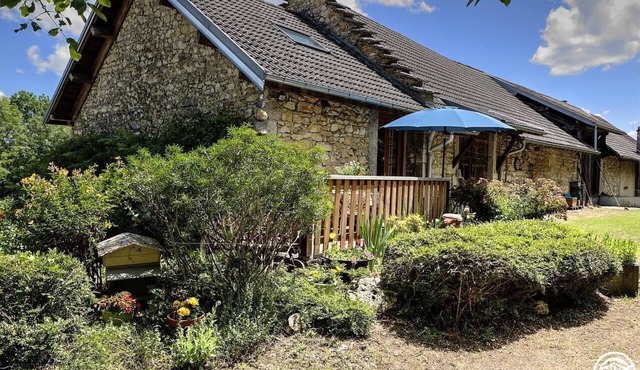 L'ecureuil du Bugey - Andert-et-condon