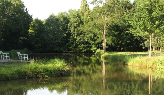 L'Ecurie - Solognese house with pond and horse meadows