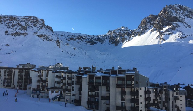 L'edelweiss au Centre du Val-claret